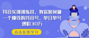 抖音实训训练营，教你如何做一个赚钱的抖音号，单日单号增粉30万-乌龙学社