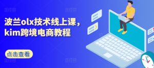 波兰olx技术线上课，kim跨境电商教程-乌龙学社