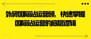 外贸国际站运营顾问，快速掌握国际站运营的底层逻辑-乌龙学社