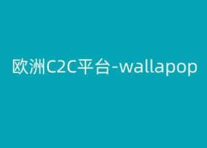欧洲C2C平台-wallapop-kim跨境电商教程-乌龙学社