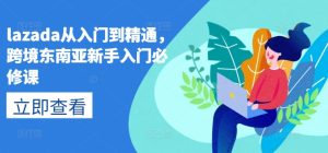 lazada从入门到精通，跨境东南亚新手入门必修课-乌龙学社
