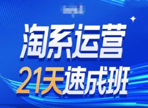 淘系运营24天速成班第28期最新万相台无界带免费流量-乌龙学社