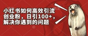 小红书如何高效引流创业粉，日引100+，解决你遇到的问题【揭秘】-乌龙学社