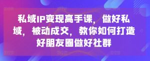 私域IP变现高手课,做好私域,被动成交,教你如何打造好朋友圈做好社群-乌龙学社