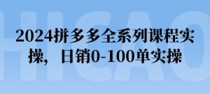 2024拼多多全系列课程实操，日销0-100单实操【必看】-乌龙学社