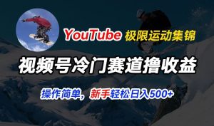 视频号冷门赛道撸收益，YouTube搬运极限运动集锦，暴力起号，操作简单流量高，轻松日入5张【揭秘】-乌龙学社