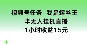 视频号任务，我是螺丝王， 半无人挂机1小时收益15元【揭秘】-乌龙学社