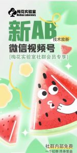 梅花实验室2024年AB技术视频号AB合成破解版-乌龙学社