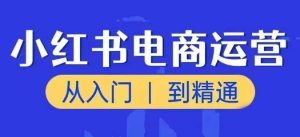 小红书电商运营课，从入门到精通，带你抓住又一个赚钱风口-乌龙学社