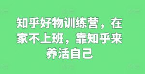知乎好物训练营，在家不上班，靠知乎来养活自己-乌龙学社