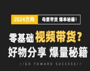 短视频母婴赛道实操流量训练营，零基础视频带货，好物分享，爆量秘籍-乌龙学社