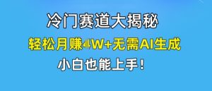 冷门赛道大揭秘，轻松月赚1W+无需AI生成，小白也能上手【揭秘】-乌龙学社