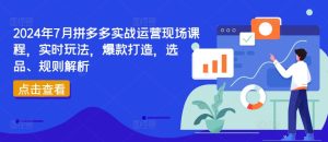 2024年7月拼多多实战运营现场课程,实时玩法,爆款打造,选品、规则解析-乌龙学社