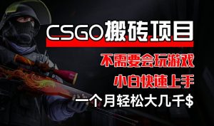 CSGO 装备搬砖项目，操作简单，不需要会玩游戏，小白也能快速上手，一个月轻松大几千【揭秘】-乌龙学社