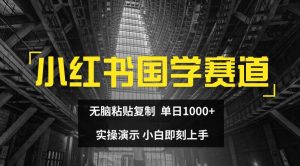 小红书国学赛道，无脑粘贴复制，单日1K，实操演示，小白即刻上手【揭秘】-乌龙学社