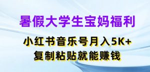 暑假大学生宝妈福利，小红书音乐号月入5000+，复制粘贴就能赚钱【揭秘】-乌龙学社