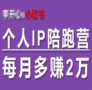 小红书个人IP陪跑营，60天拥有自动转化成交的双渠道个人IP，每月多赚2w-乌龙学社
