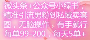 微头条+公众号小绿书，精准引流男粉到私域卖套图，无脑操作，有手就行，每单99-200，每天5单-乌龙学社