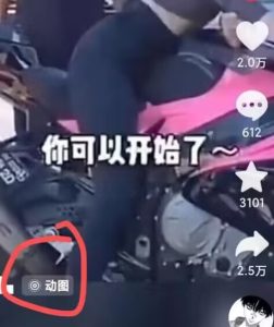 2024年7月苹果手机动图搬运技术-乌龙学社