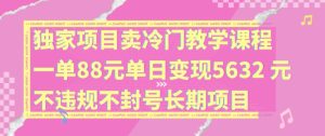 独家项目卖冷门教学课程一单88元单日变现5632元违规不封号长期项目【揭秘】-乌龙学社