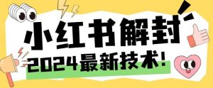2024最新小红书账号封禁解封方法，无限释放手机号【揭秘】-乌龙学社