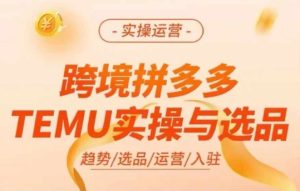 跨境拼多多TEMU实操与选品，多多temu跨境选品运营实操-乌龙学社
