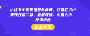 小红书IP变现运营私教课，打通红书IP变现任督二脉，底层逻辑、实操方法、战训结合-乌龙学社