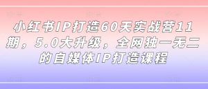 小红书IP打造60天实战营11期，5.0大升级，全网独一无二的自媒体IP打造课程-乌龙学社