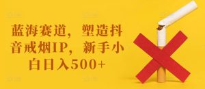 蓝海赛道，塑造抖音戒烟IP，新手小白日入500+【揭秘】-乌龙学社