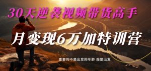 30天逆袭视频带货高手，单月变现6万加特训营-麦子甜-乌龙学社