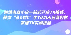 跨境电商小白一站式开启TK搞钱，教你“从0到1”学TikTok运营轻松掌握TK实操技能-乌龙学社