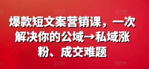 爆款短文案营销课，一次解决你的公域→私域涨粉、成交难题-乌龙学社
