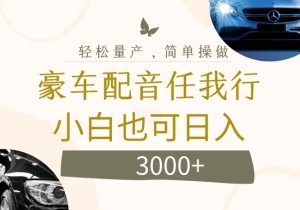 不为人知的暴力小项目，豪车配音，日入几张【揭秘】-乌龙学社