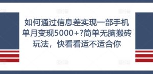 如何通过信息差实现一部手机单月变现5000+?简单无脑搬砖玩法，快看看适不适合你【揭秘】-乌龙学社