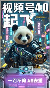 梅花实验窒微信视频号连怼玩法技巧起飞4.0一键AB破解版【揭秘】-乌龙学社