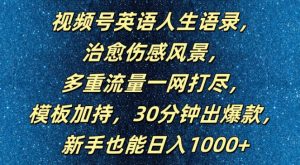 视频号英语人生语录，多重流量一网打尽，模板加持，30分钟出爆款，新手也能日入1000+【揭秘】-乌龙学社