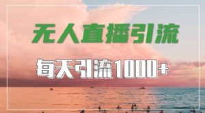 抖音快手视频号全平台通用，无人直播引流法，超暴力引流1000+高质量精准创业粉【揭秘】-乌龙学社