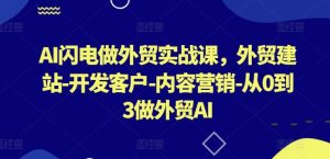 AI闪电做外贸实战课，​外贸建站-开发客户-内容营销-从0到3做外贸AI（更新）-乌龙学社