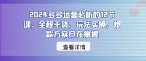 2024多多运营必听的12节课，全程干货，玩法实操，爆款方案尽在掌握-乌龙学社