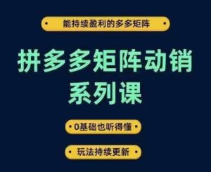 拼多多矩阵动销系列课，能持续盈利的多多矩阵，0基础也听得懂，玩法持续更新-乌龙学社
