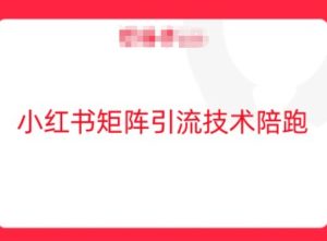 小红书矩阵引流技术，教大家玩转小红书流量-乌龙学社