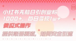 小红书无脑每日引流创业粉500+，小白每天只花半小时，躺赚长尾收益【揭秘】-乌龙学社