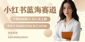 小红书蓝海赛道，圈中高端职场人，月入无上限，可矩阵，内含私域实操教程!-乌龙学社