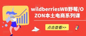 wildberriesWB野莓/OZON本土电商系列课，掌握WB产品优化，出单技巧和订单处理等-乌龙学社