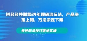 拼多多特训营24年爆破流玩法，产品决定上限，方法决定下限，各种玩法技巧落地实操-乌龙学社