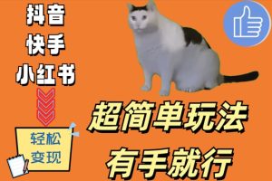 超简单玩法，有手就行，靠猫咪视频日入500+【揭秘】-乌龙学社