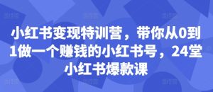 小红书变现特训营，带你从0到1做一个赚钱的小红书号，24堂小红书爆款课-乌龙学社