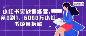 小红书实战训练营，从0到1，6000万小红书项目拆解-乌龙学社