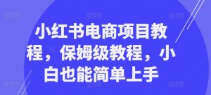 小红书电商项目教程，保姆级教程，小白也能简单上手-乌龙学社