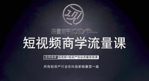 短视频商学流量课+口播拍摄剪辑，​短视频+轻资产创业流量变现课-乌龙学社